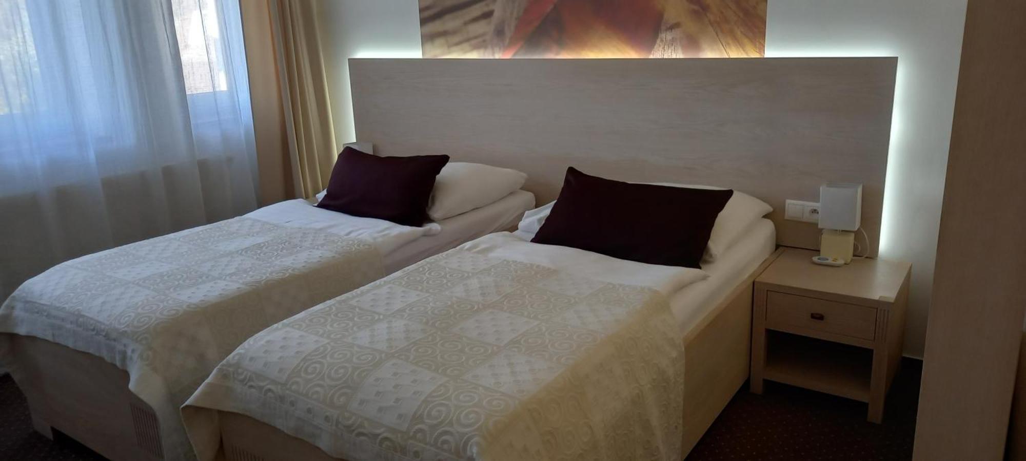 Hotel Slameny Dom & Spa Malá Ida Rum bild